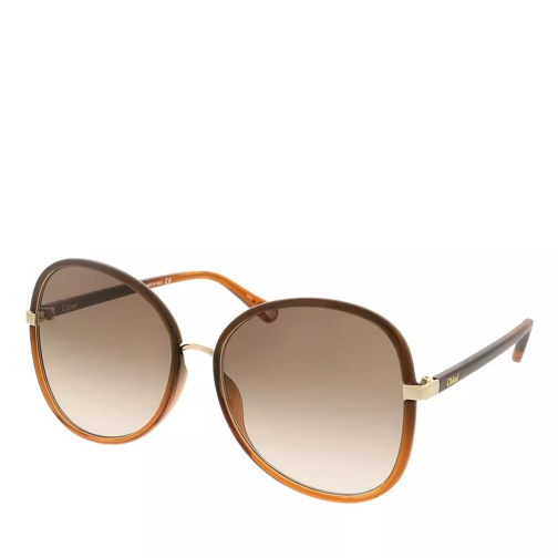 Chloé CH0030S-005 60 Sunglass Woman Injection Brown-Brown-Brown Sunglasses