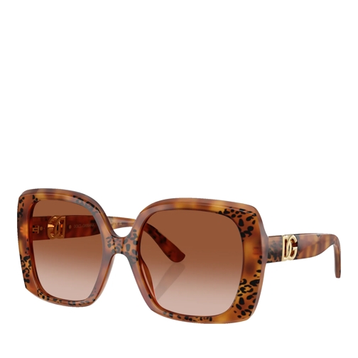 Dolce&Gabbana Sonnenbrille 0DG4475 Havana Leo