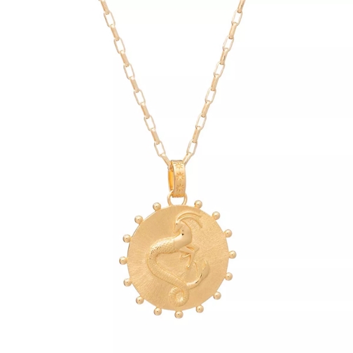 Rachel Jackson London Statement Capricorn Zodiac Art Coin Long Necklace  Yellow Gold Mittellange Halskette