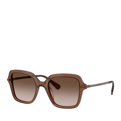 Swarovski Sonnenbrille 0SK6040 10671350 Transparent Brown