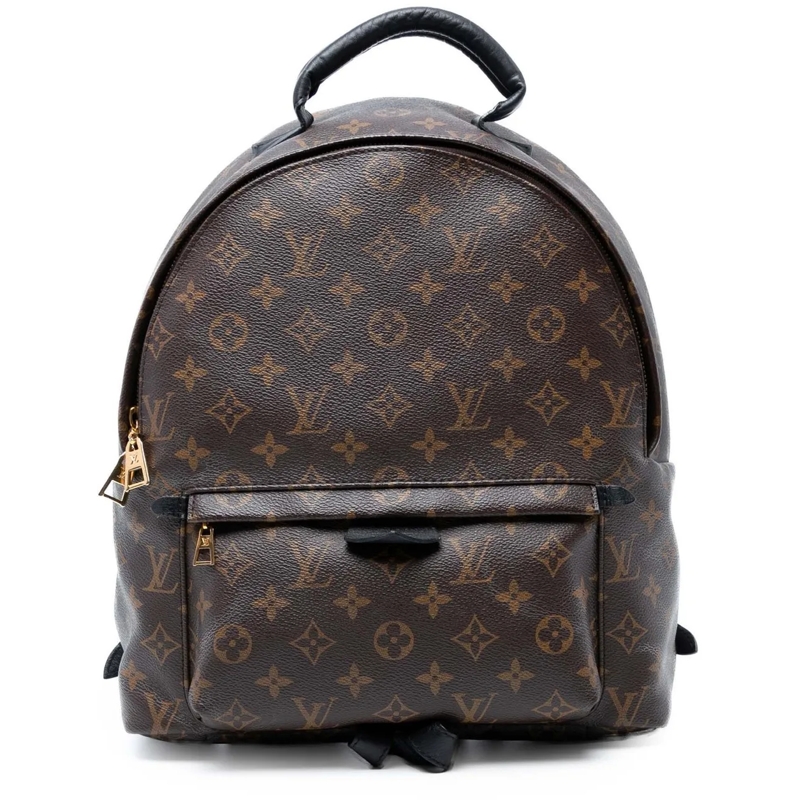 Louis Vuitton Rucksack Monogram Palm Springs MM braun