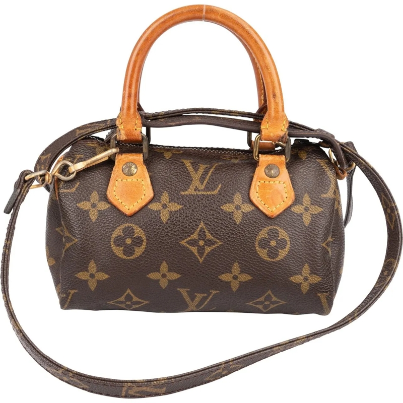 Louis Vuitton Tote Louis Vuitton Monogram Canvas Mini Speedy Handbag braun