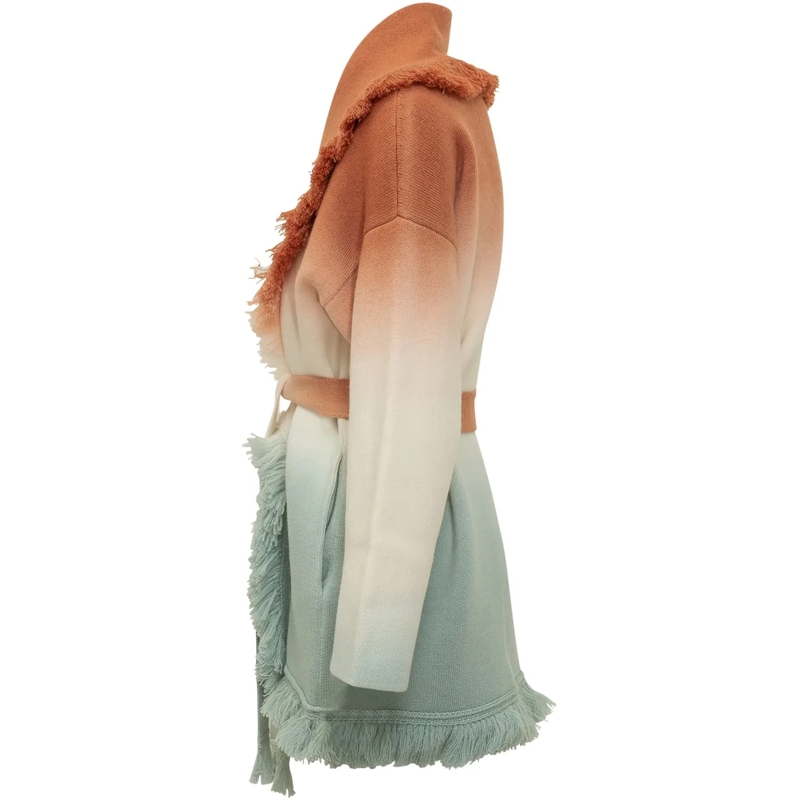 Alanui  Cardigan Shades Of Shore con Cintura e Frange mehrfarbig(Image 3)
