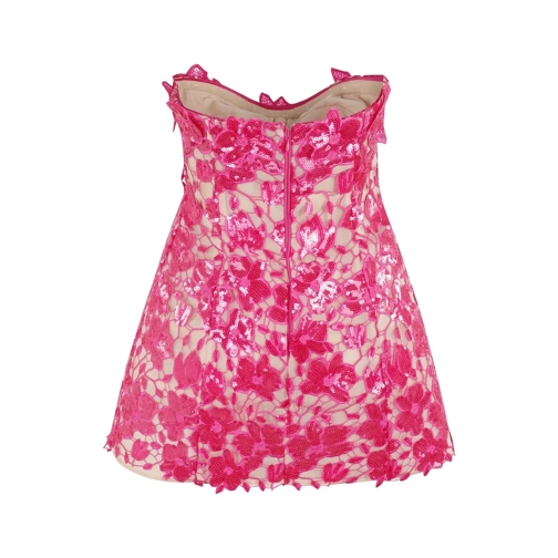 Retrofete Mini robes Alira Lace Dress Pink (Image 2)