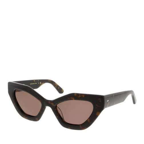 Ace & Tate Taylor Mulberry Tree Sunglasses