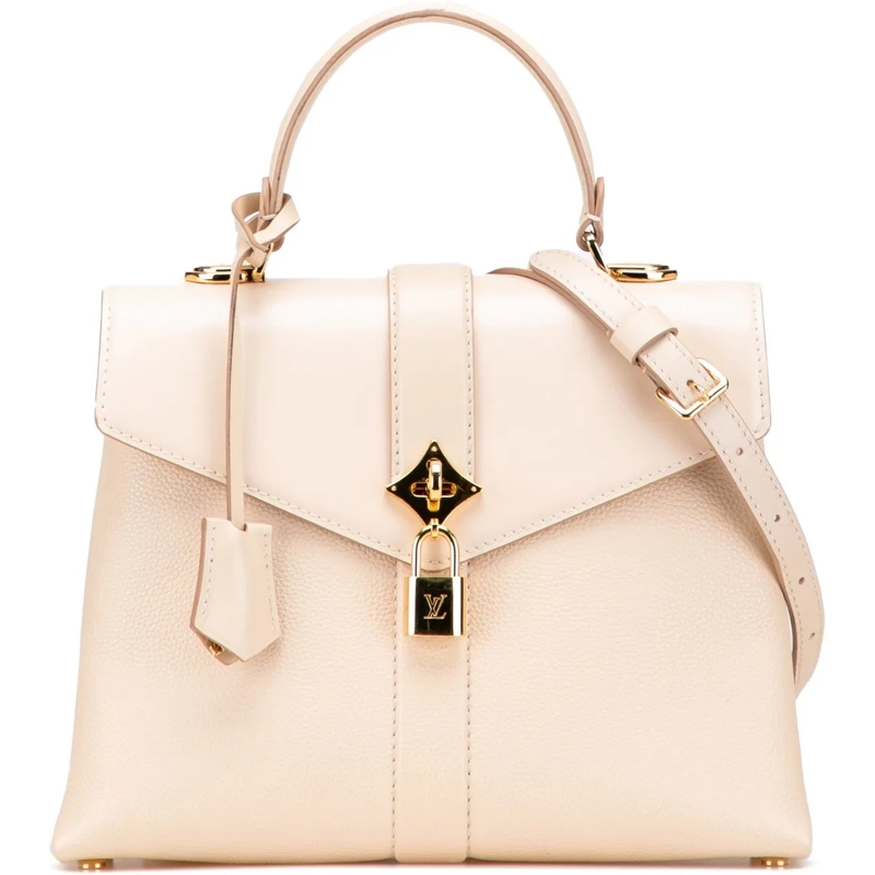 Louis Vuitton Schultertasche Grained Smooth Calfskin Rose Des Vents PM braun