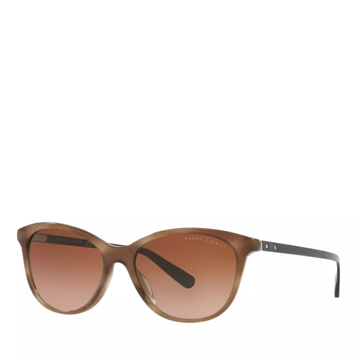 Ralph Lauren Sunglasses 0RL8198U Shiny Havana Homy Sonnenbrille
