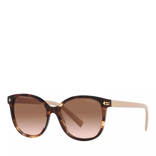 Prada 0PR 22ZS CARAMEL TORTOISE Solglasögon