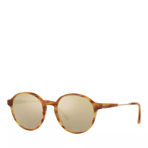 Giorgio Armani Sunglasses 0AR8160 Striped Brown Sunglasses