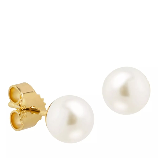 BELORO Stud Earrings 585 2 Akoya Culture Pearl 5,5-6 mm Yellow Gold Orecchini a bottone