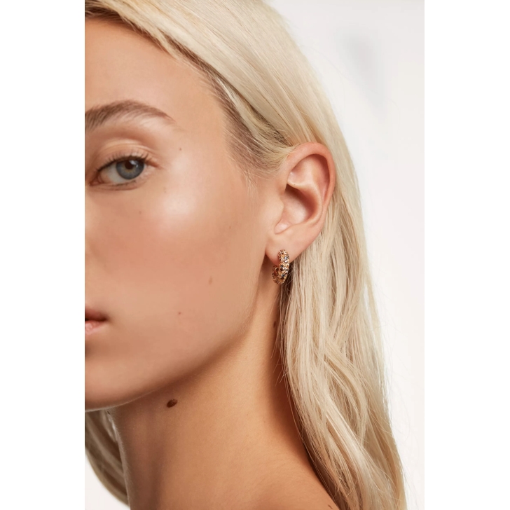 Pdpaola deals hoop earrings