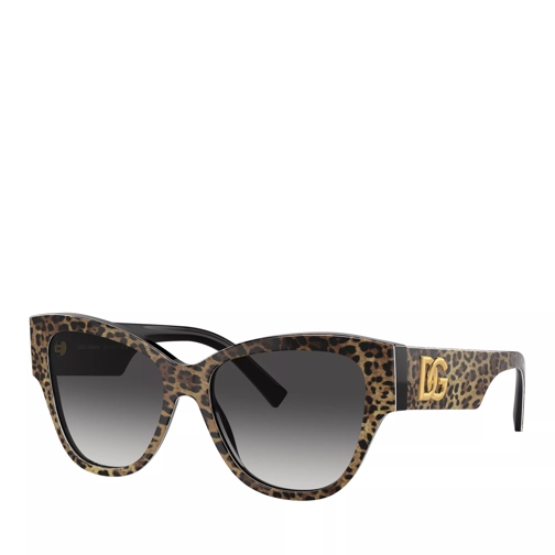 Dolce&Gabbana 0DG4449 Leo Brown On Black Sunglasses