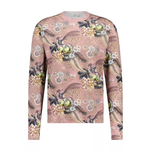 Etro Pullover mit naturalem Print Rosa Trui