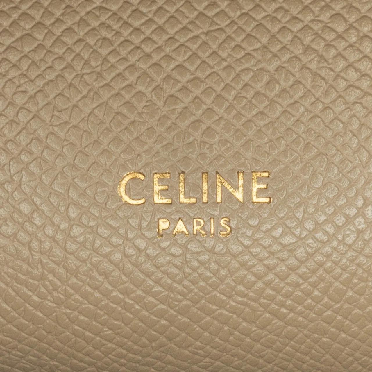 Celine Hobo bags 2020 Pico Grained Calfskin Belt Bag in bruin