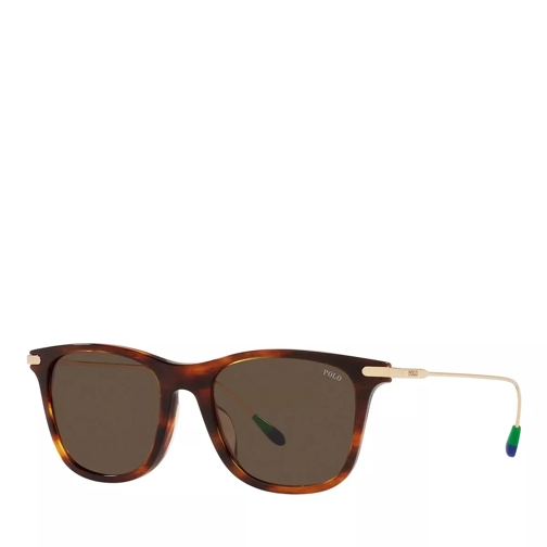 Polo Ralph Lauren 0PH4179U Sunglasses Shiny Striped Havana Occhiali da sole
