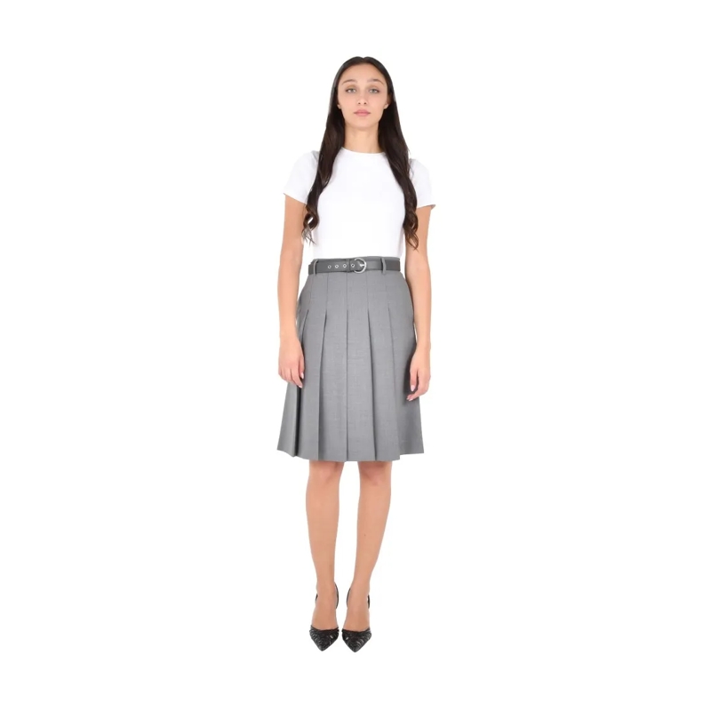 Max Mara Midirock Midi Skirt With Structured Pleats Grey