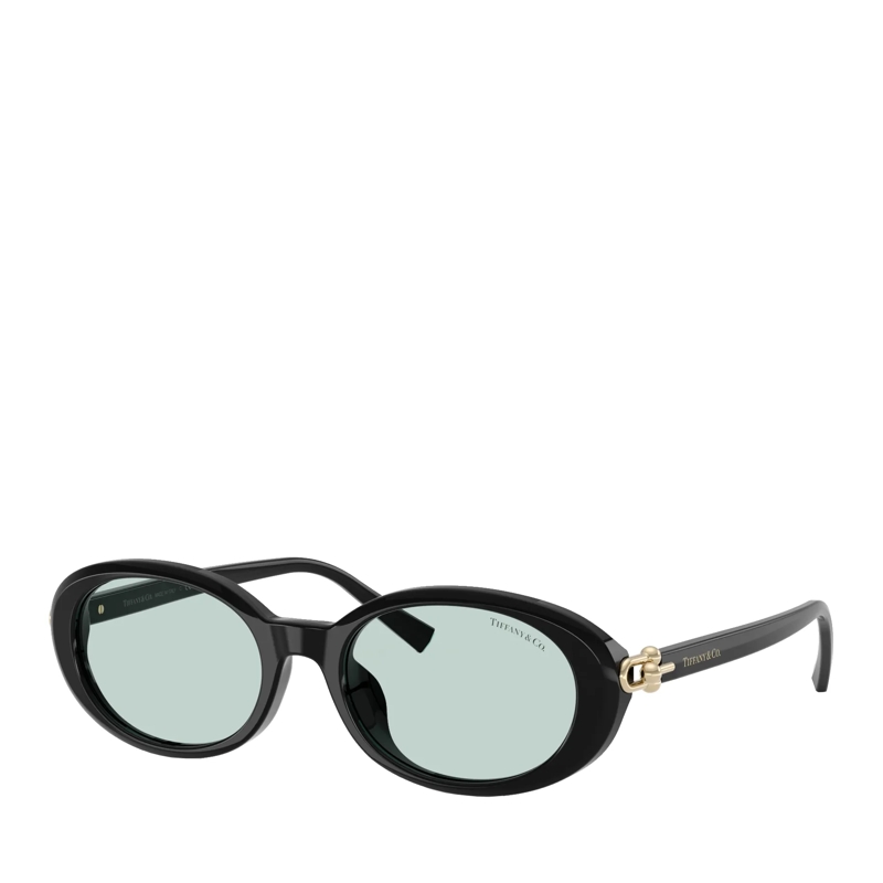 Tiffany & Co. Sonnenbrille 0TF4242D 8001D954 Black