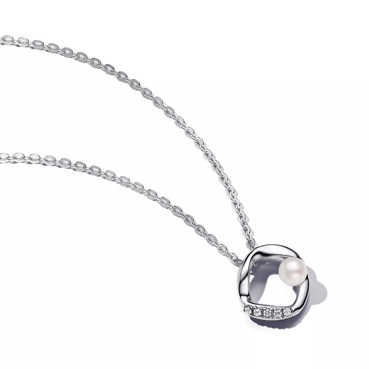 Pandora silver necklace hot sale