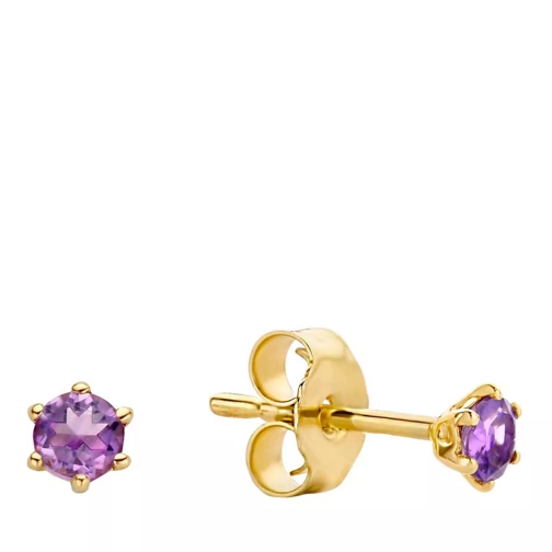 Jackie Gold Jackie Amethyst Studs 585 Gold Ohrstecker