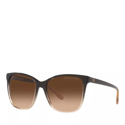 Ralph Lauren Sunglasses 0RL8201 Shiny Grad Black/Transp Beige Solglasögon