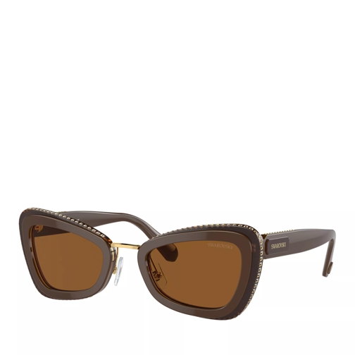 Swarovski 0SK6012 Brown Light Brown Sunglasses