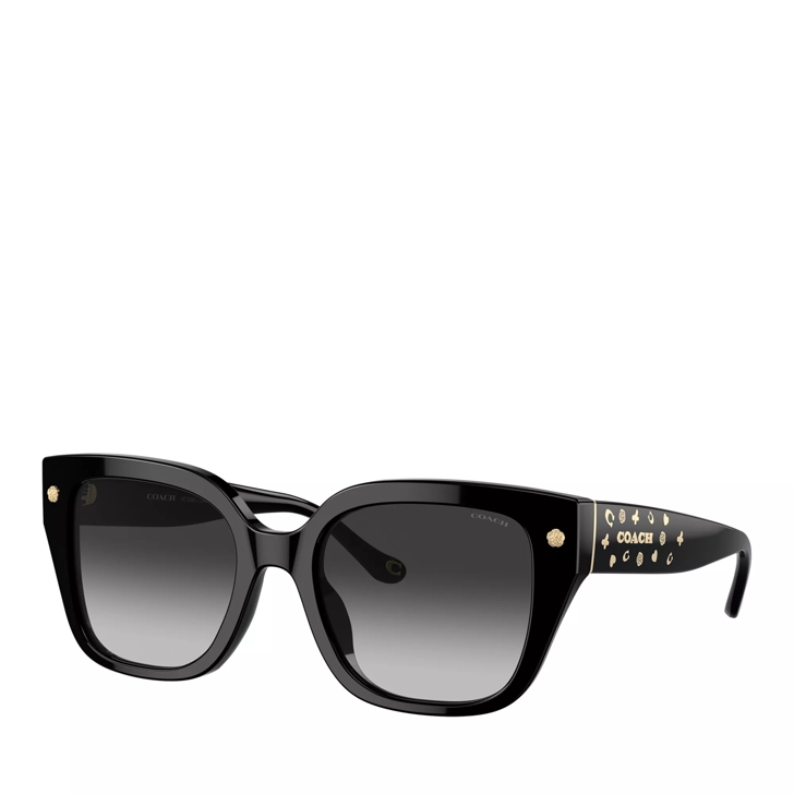 Top Coach Sunglasses