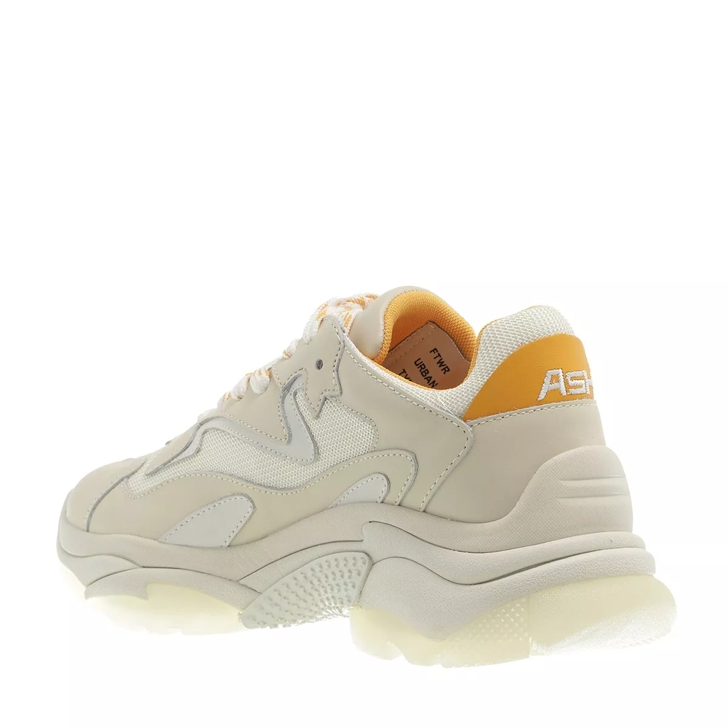 Ash store sneakers addict