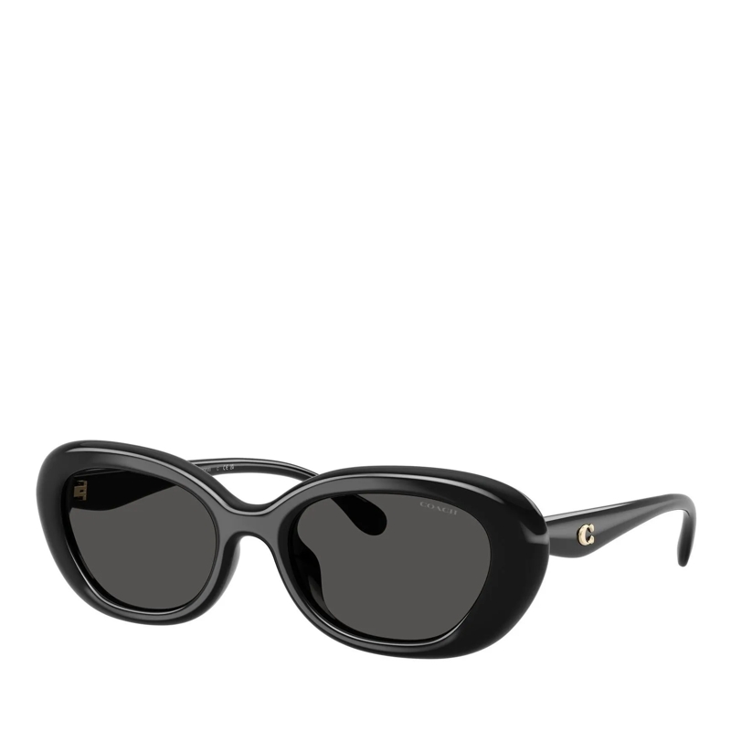 Coach Sonnenbrille Sunglasses 0hc8448u 50028754(Image 2)