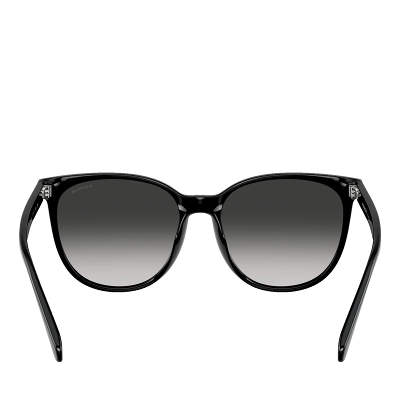 Coach Sonnenbrille CW428 Black(Image 5)
