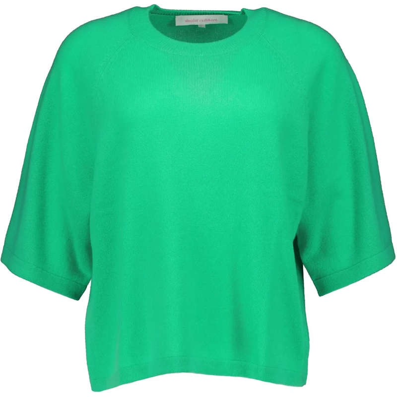 ABSOLUT CASHMERE T-Shirt Absolut Cashmere Leana T-shirts Groen Af1f007ws grün