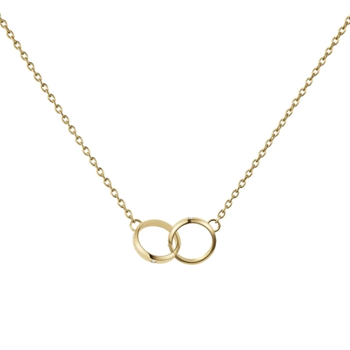 Daniel Wellington Collier moyen Elan Unity Lumine Kette Gold