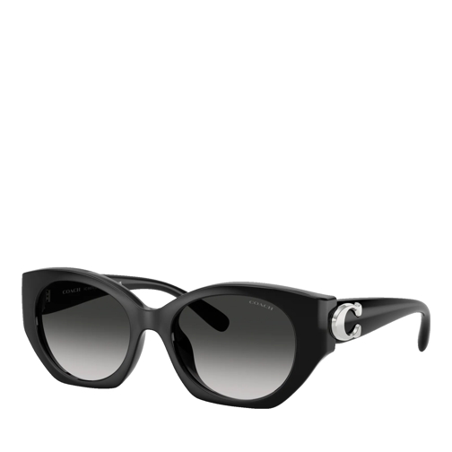 Coach CW194 Black Sunglasses