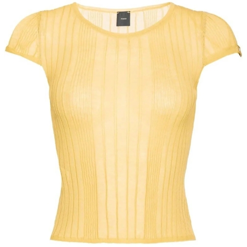 Pinko Sweatshirts Sweaters Giallo Canna Dindia mehrfarbig