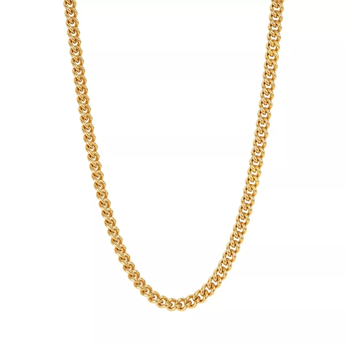 BELORO Necklace Chain Bold Yellow Gold Mellanlångt halsband