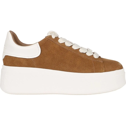 Ash Low-Top Sneaker Moby Sneakers mehrfarbig