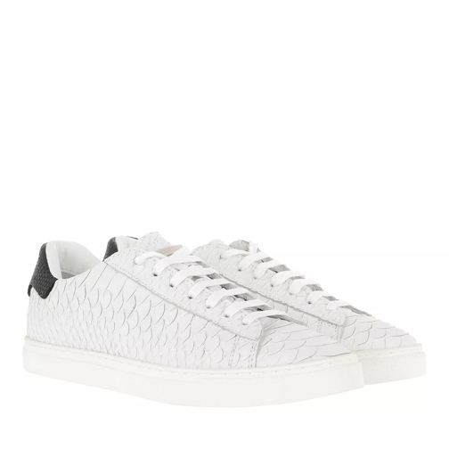 Dsquared2 New Tennis Sneakers White/Black Low-Top Sneaker