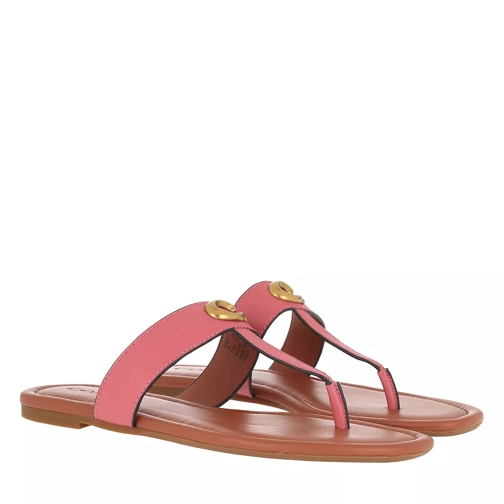 Coach Jessie Thong Signature Buckle Sandal Leather Orchid Infradito