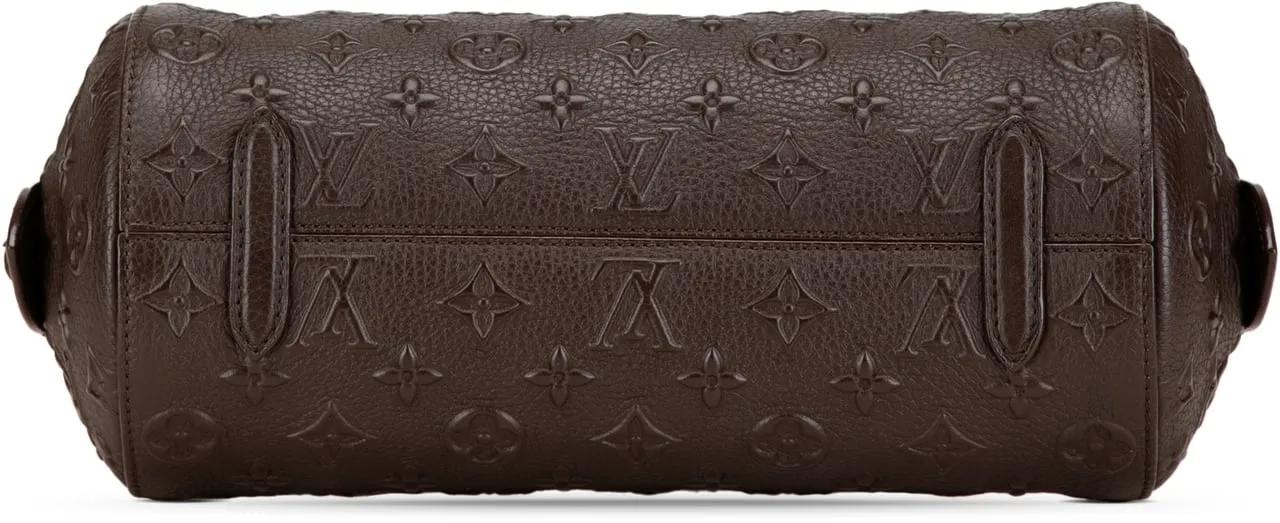 Louis Vuitton Totes & shoppers Monogram Revelation Neo Papillon PM in bruin