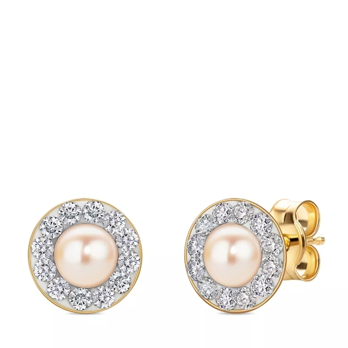 BELORO Ladies' 9ct Pearl and Swarovski Elements Stud Earr Yellow Gold Clou d'oreille