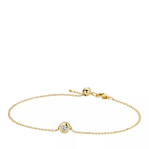 Blush Bracelet 2167YZI - Gold (14k) Yellow Gold Armband