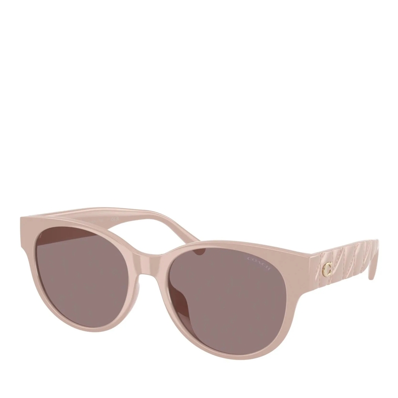 Coach Sonnenbrille Sunglasses 0hc8430d 59507n56
