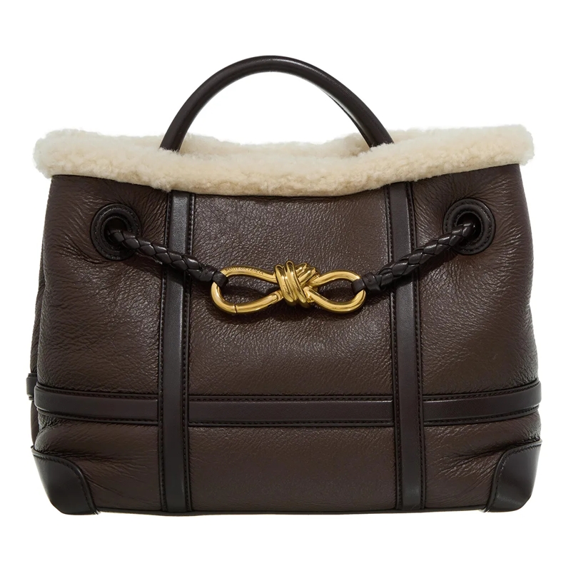 Bottega Veneta Crossbody Bag Small Andiamo Teddy