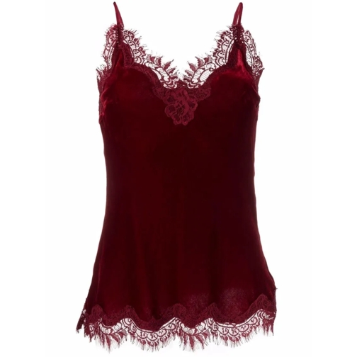 Gold Hawk Red Velvet Top Red Camicette