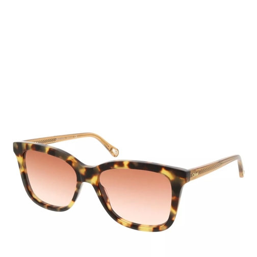 Chloé CH0079S-001 56 Sunglass Woman Bio Acetate Havana-Brown-Orange Sunglasses