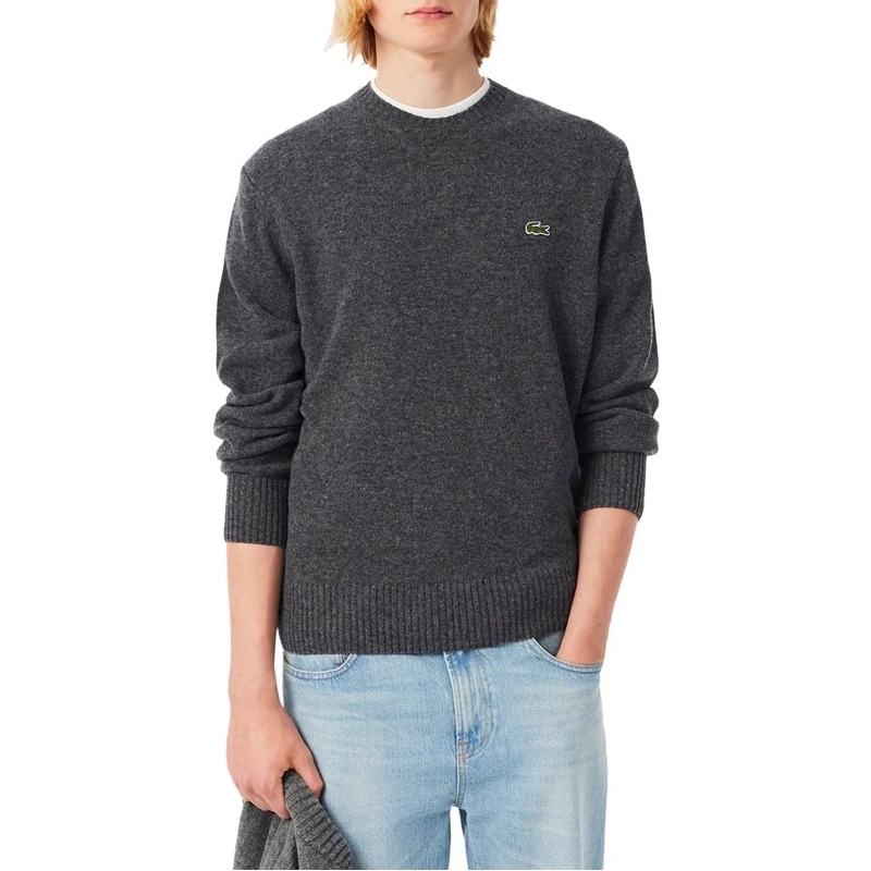 Lacoste  Sweaters Grey grau