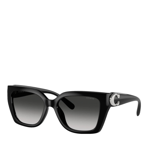 Coach CW195 Black Sunglasses