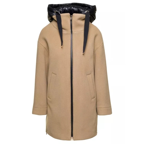 Herno Brown Coat With Padded Hood And Zip Fastening In W Brown 