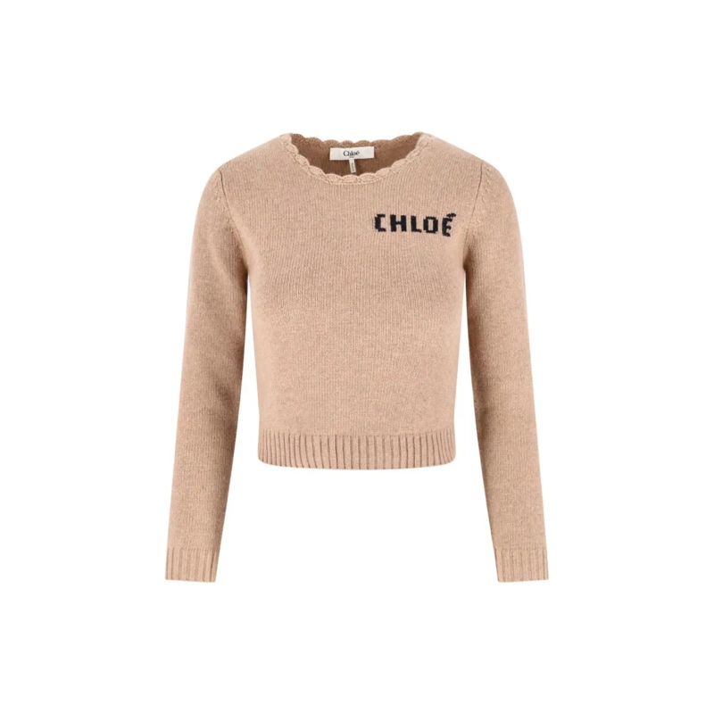 Chloé Trui Sweater In Wool And Cashmere Blend Neutrals