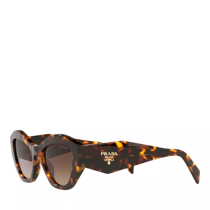 Prada havana cat eye sunglasses best sale