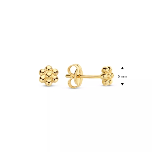Jackie Gold Ohrstecker Jackie Margarita Studs Gold (Image 3)